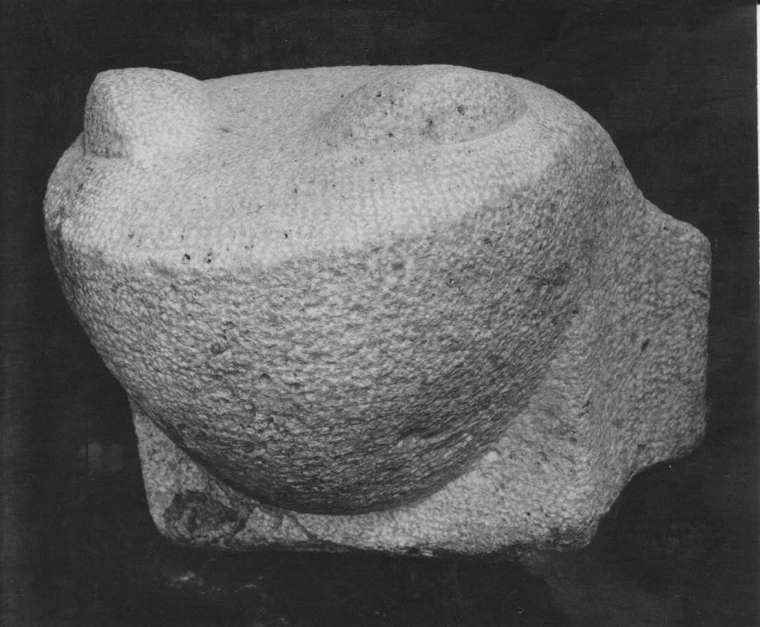 פסל צפרדע אבן 1964