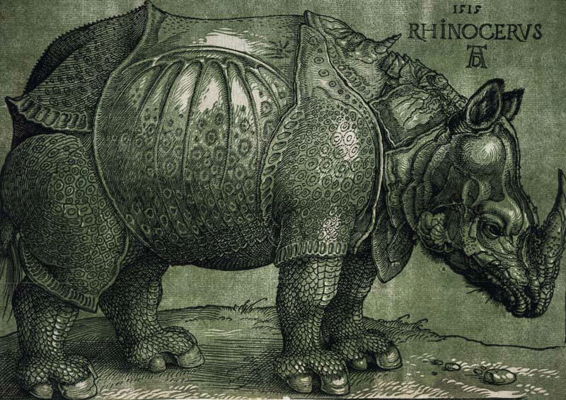 durer-rhinoceros-later-edition