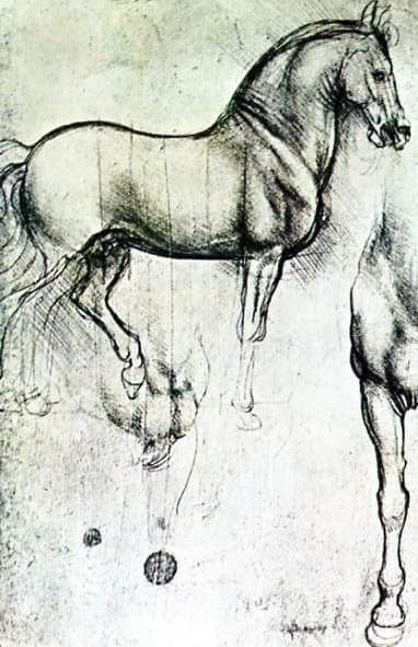 לאונרדו דה וינצי, סקיצה לסוס, 1491
