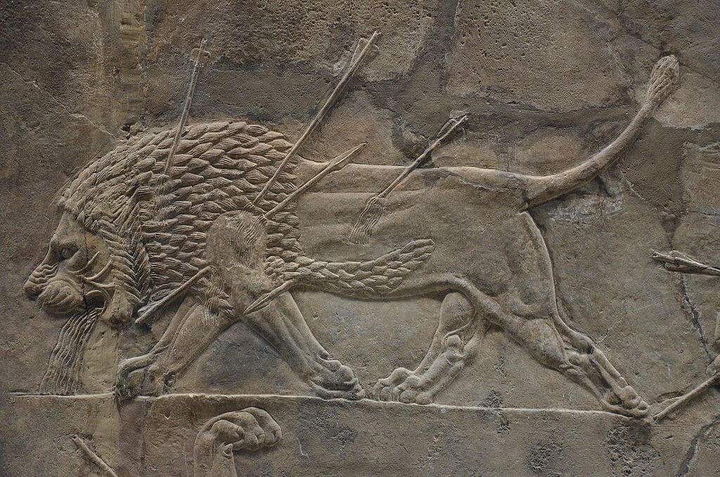 ציד אריות של אשורבניפאל, ארמון צפוני של מלך אשור, נינווה, עיראק, מאה 7 לפנהס