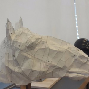 20151228_115401_resized