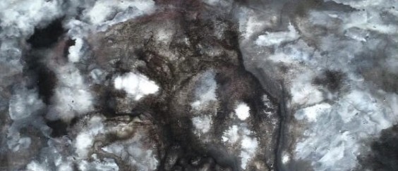 Tamir David_image2_water