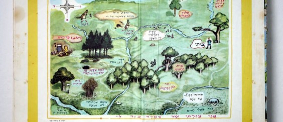 פורזץ פו הדב