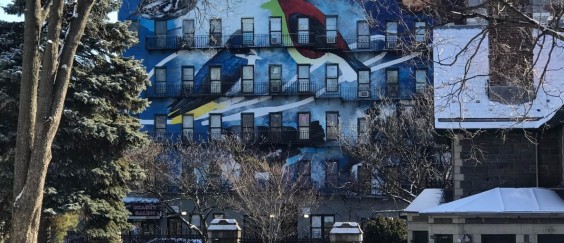 תמונה ראשית כותרת