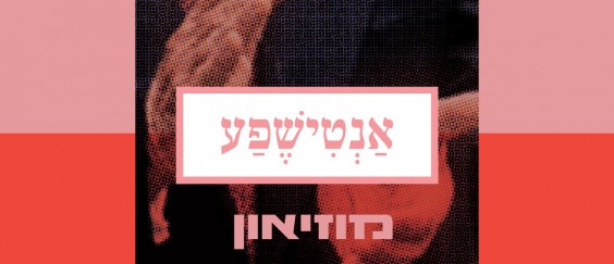anti_x_white
