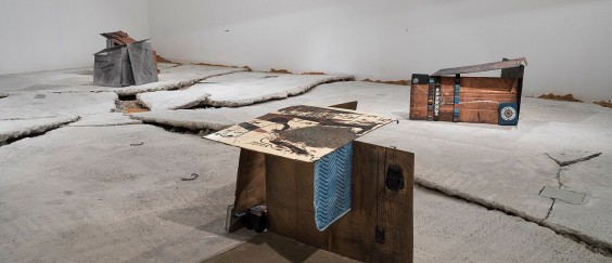 PTM_011
