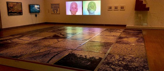 תמונת כותרת