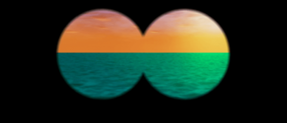 צילום מסך 2019