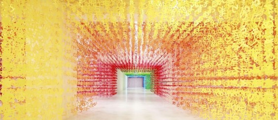 תמונת השבוע