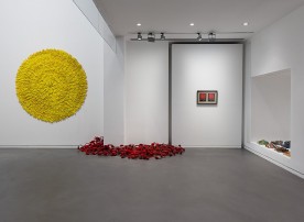 Basis_002