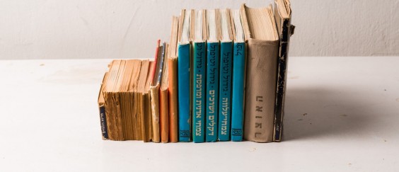 דורית פיגוביץ גודארד / פצועים קל