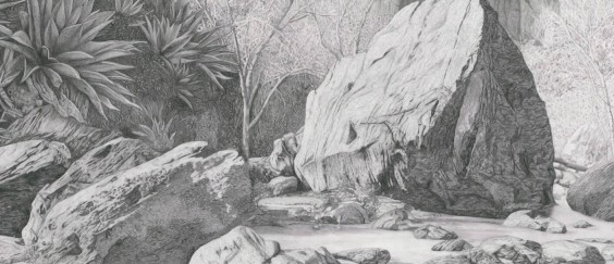 מורן קליגר / שבעה פרימטים